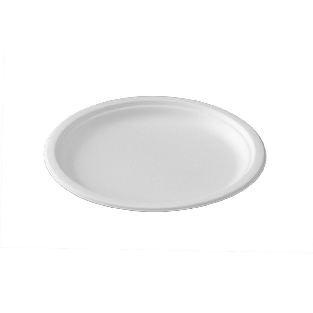 Piatto da portata bio cm 26 pz 50