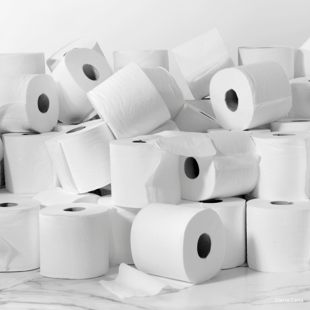 Carta igienica e Scottex (S)