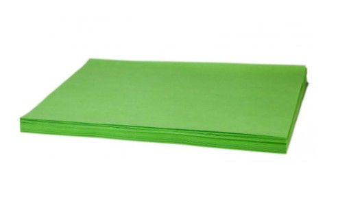 Carta assorbente verde 25x42 cm pezzi 1000